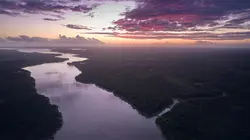 Au fil de l'Amazone