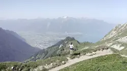 Au fil de l'eau Le Rhône