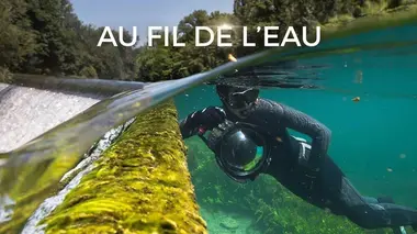 Au fil de l'eau, les anguilles sacrées de Polynésie