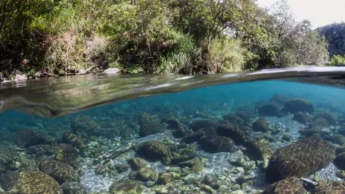 Casting Au fil de l'eau
