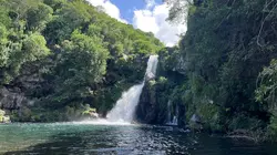Au fil de l'eau Ile de la Réunion, une goutte d'eau douce dans l'océan Indien