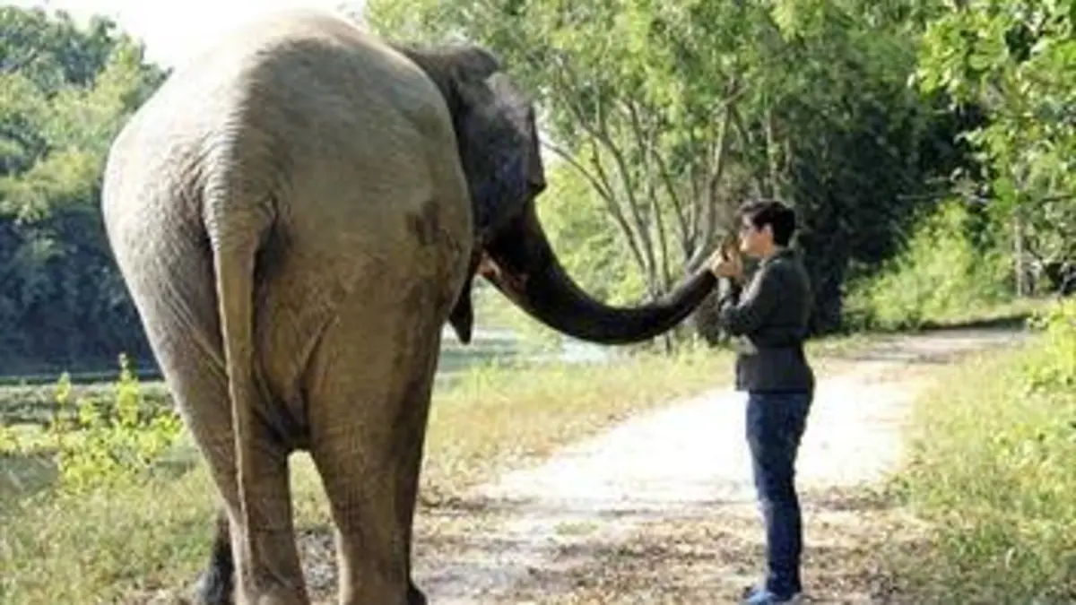 Au fil du Mékong E02 Cambodge