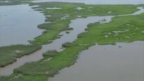 Au fil du Mississippi E03 Le bayou