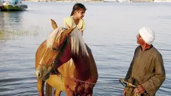 Au fil du Nil S01E02 De Louxor au désert