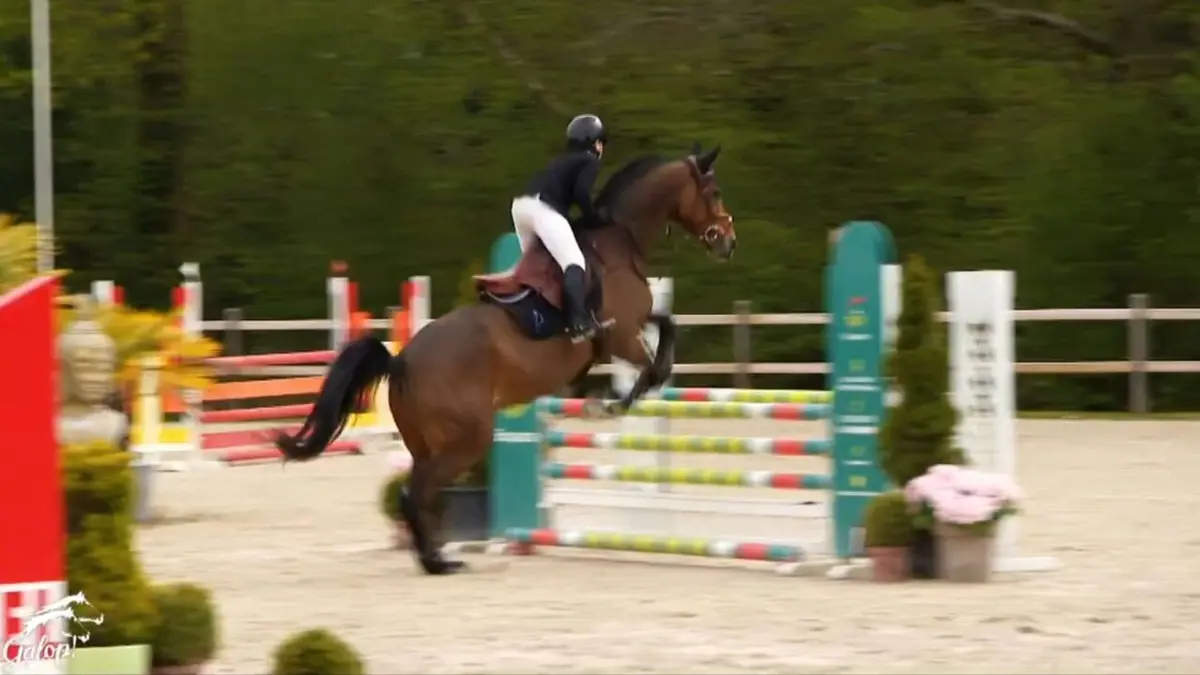 Au galop ! Encore plus haut pour le CSO