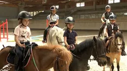 Au galop ! Un concours à haut risque