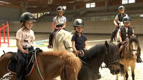 Au galop ! Un concours à haut risque