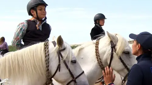 Au galop ! Premier PTV, premières difficultés