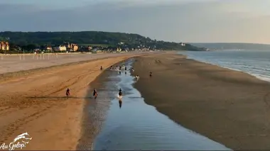 Firfol à Deauville