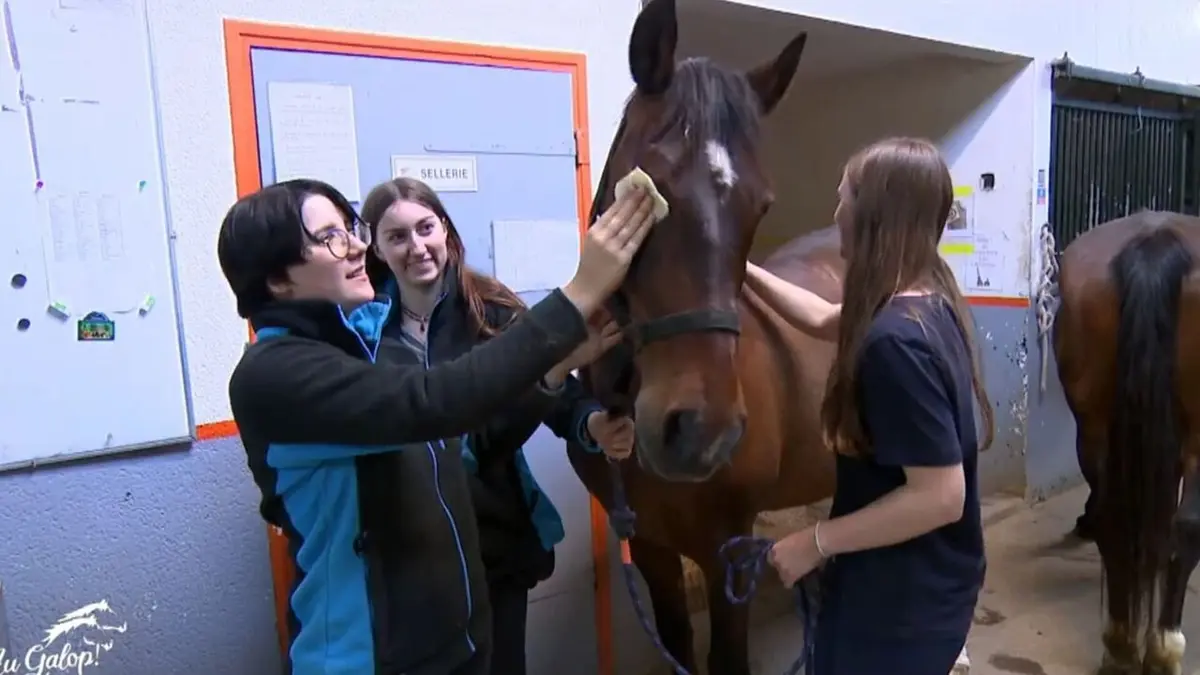 Au galop ! A vos marques, prêt, passez le galop !