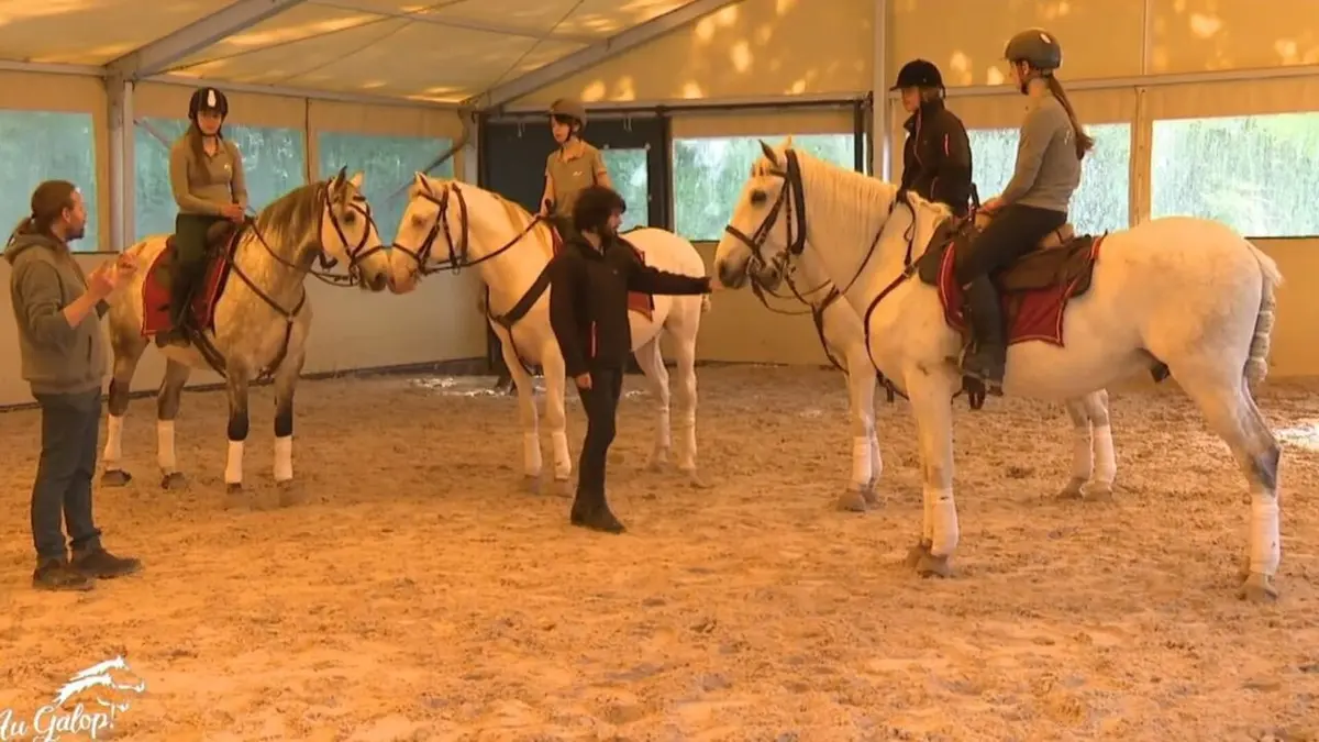 Au galop ! Que le spectacle commence !