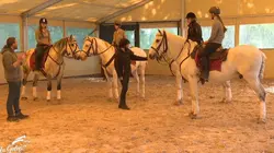 Au galop !  Que le spectacle commence !