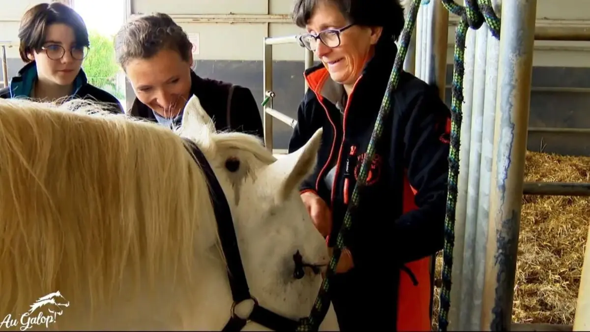 Visuel de Au galop !