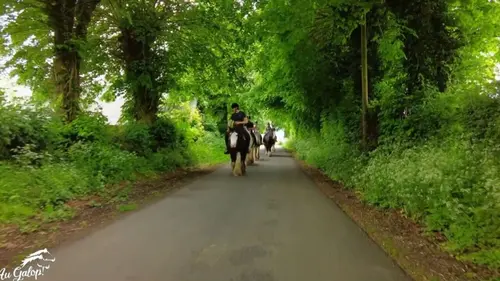 Avis sur Au galop ! Une balade surprenante