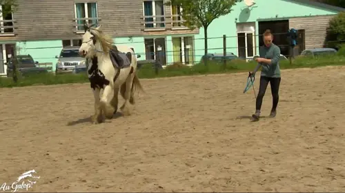 Au galop ! Le défi du podestre