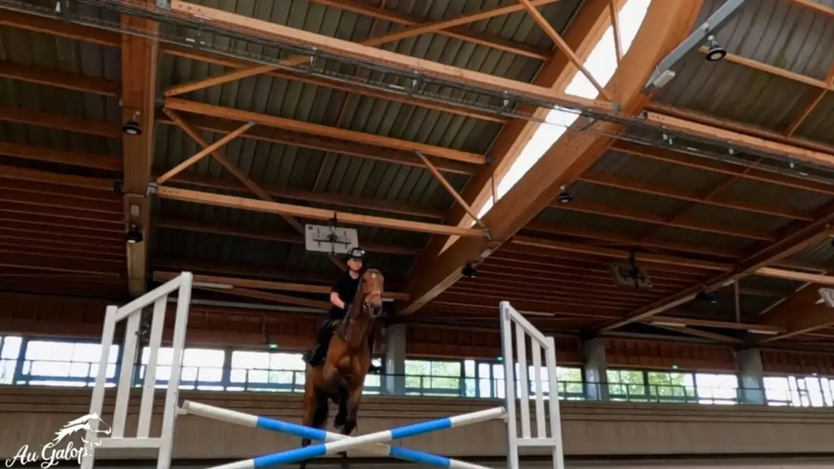 Au galop ! Le retour des Elites