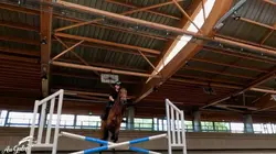 Au galop !