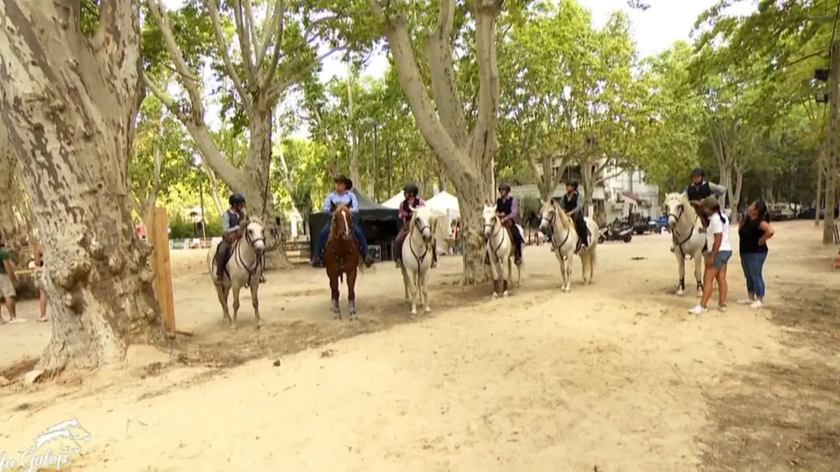 Au galop !