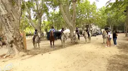 Au galop !