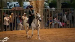 Au galop !  Beaucaire en Folie