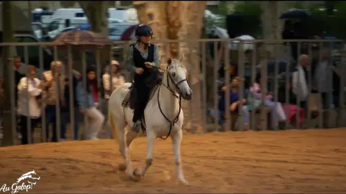 Au galop ! Beaucaire en Folie