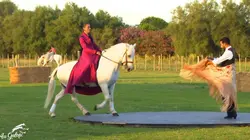Au galop ! Du tango et des chevaux