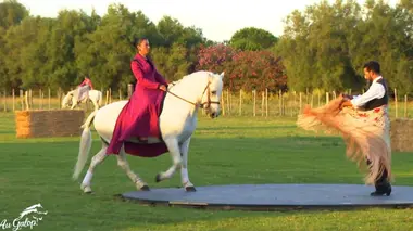 Du tango et des chevaux