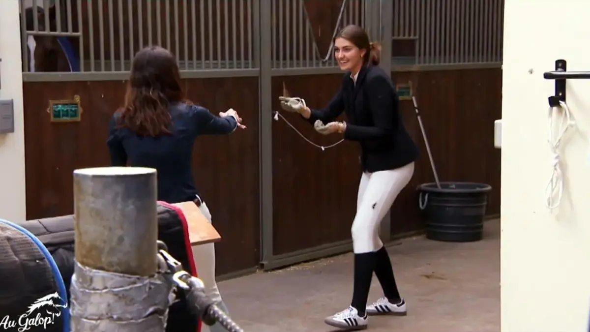 Au galop ! Bataille dans les écuries