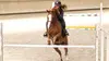 Au galop !