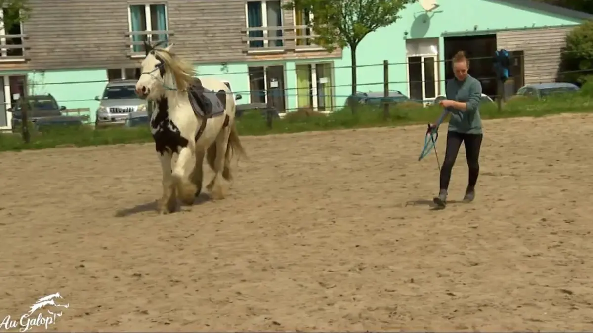 Visuel de Au galop ! La mentaliste de Camargue