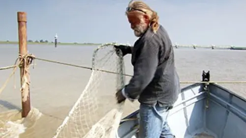 Au gré des saisons : Automne E01 Sonate d'automne