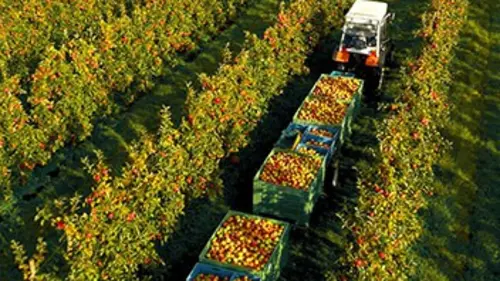 Au gré des saisons : Automne E02 La fête des récoltes