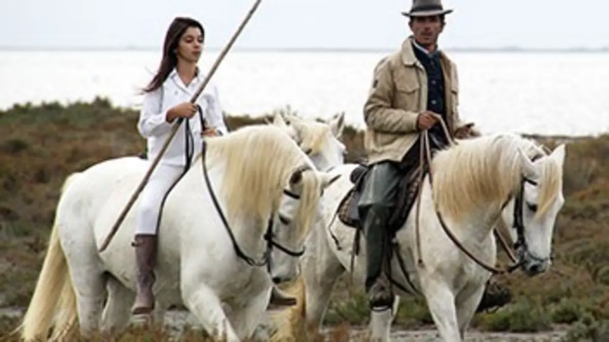 Au gré des saisons : Automne E05 L'hiver arrive