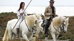 Visuel de Au gré des saisons : Automne