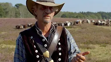 Le temps des colchiques