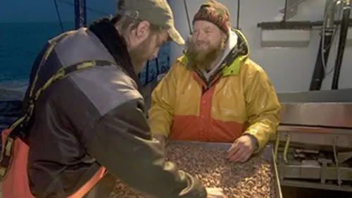 Au gré des saisons : Hiver E02 Le repos de la terre