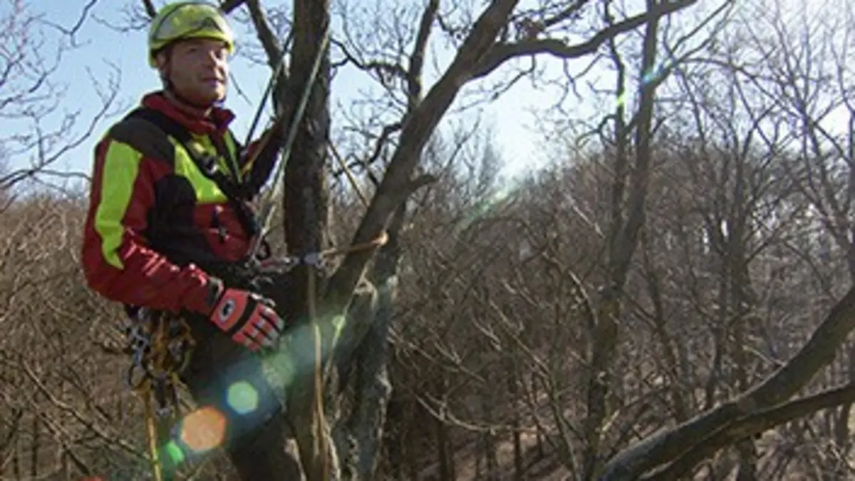 Au gré des saisons : Printemps E01 L'éveil de la nature