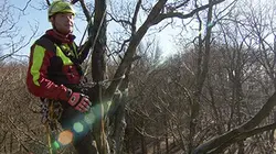 Visuel de Au gré des saisons : Printemps