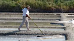 Au gré des vagues La côte bretonne