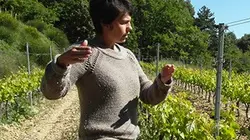 Visuel de Au gré des vents