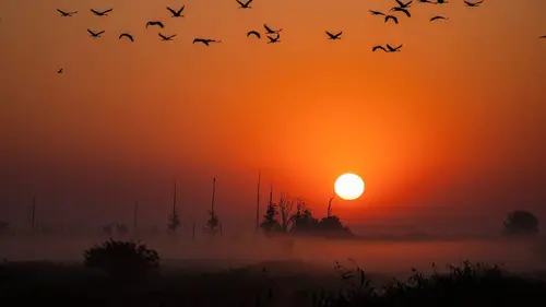 Casting Au large ! Mystérieuse Baltique