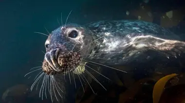 Tempétueuse mer du Nord