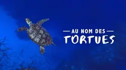 Au nom des tortues