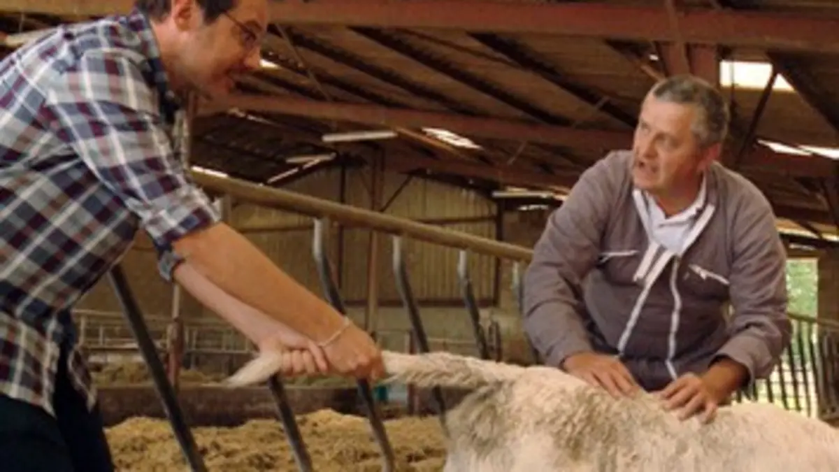 Au p'tit bonheur la France S02E03