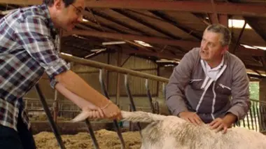 Au p'tit bonheur la France