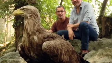 Au p'tit bonheur la France