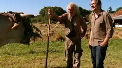 Visuel de Au p'tit bonheur la France