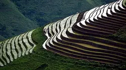 Visuel de Au pays des rizières suspendues