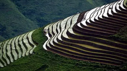 Au pays des rizières suspendues
