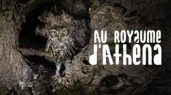 Au royaume d'Athéna